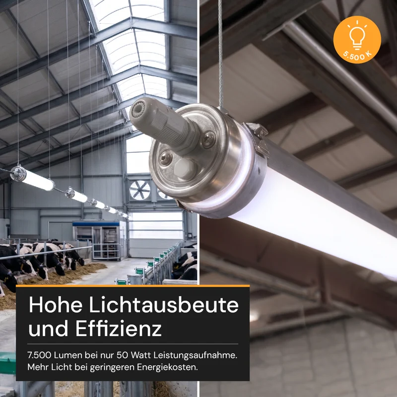 LED-Feuchtraumleuchte, 150 cm, 50 W, 7500 lm, 5700 K, IP69K, ammoniakbeständig, Brandschutz, durchschleifbar, Rohrleuchte