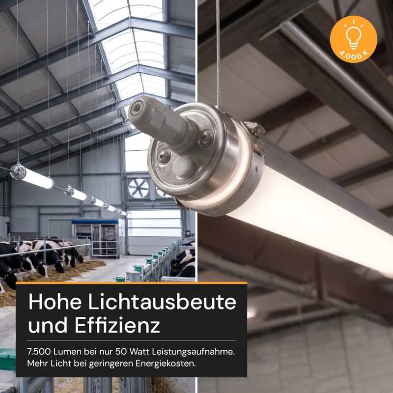 LED-Feuchtraumleuchte, 150 cm, 50 W, 7500 lm, 4000 K, IP69K, ammoniakbeständig, Brandschutz, durchschleifbar, Rohrleuchte