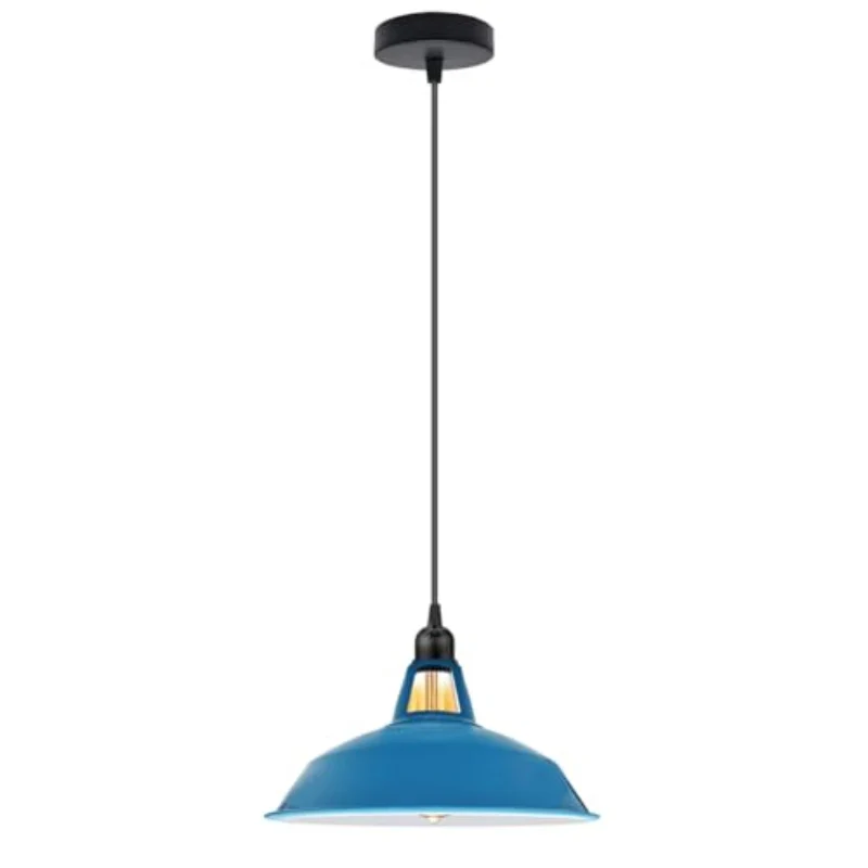 Farbige Vintage Pendelleuchte | Industriedesign E27 ~3953