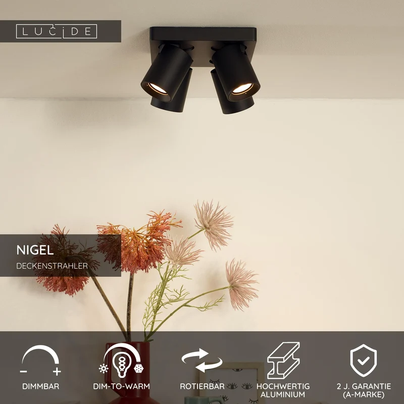 LED-Deckenstrahler Nigel 4-flammig dimmbar