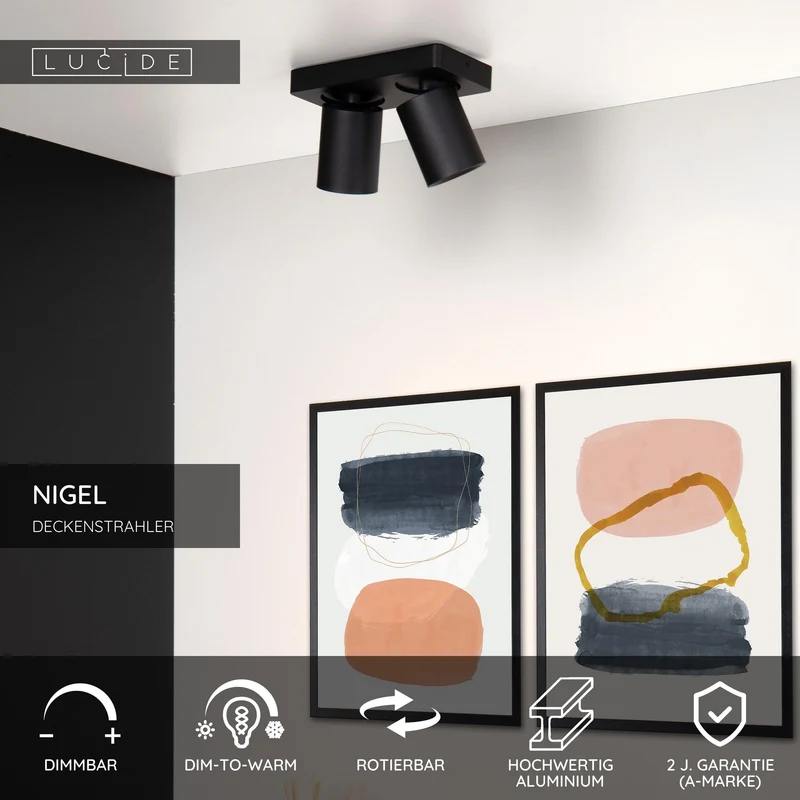 LED-Deckenstrahler Nigel 2-flammig dimmbar