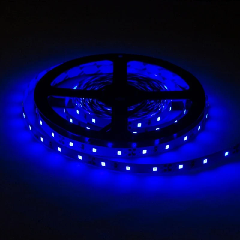 LED-Streifen, 24W, 12V, 1200lm, 5m, 60 LEDs/m, blau