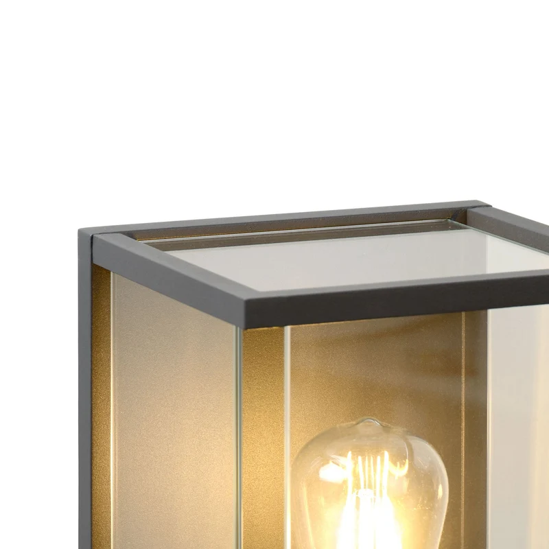 Außenwandleuchte Claire IP54 mit Glasschirm Anthrazit