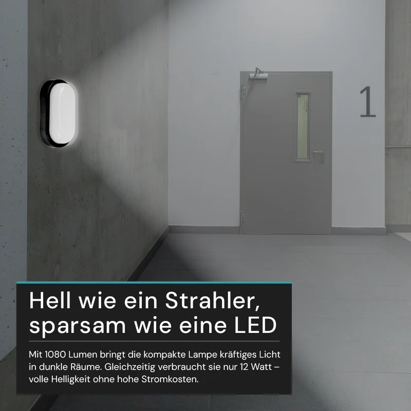 Kellerlampe in Schwarz, Ovalleuchte, 12 W, 1080 lm, Lichtfarbe einstellbar (CCT), IP54-wassergeschützt, Kabelverbinder, Wandleuchte Innen und Außen, Feuchtraumleuchte