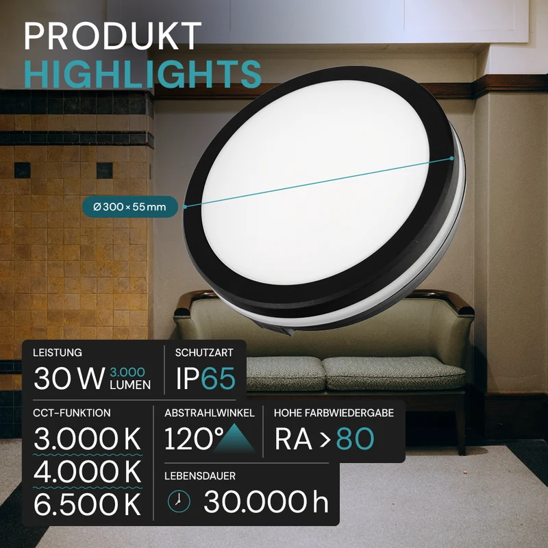 Moderne LED-Deckenlampe, schwarz/weiß, rund, 30 W, 3000 lm, Lichtfarbe einstellbar, Ø30 cm, IP65-wassergeschützt, Schnellverbinder, Innen- und Außenlampe