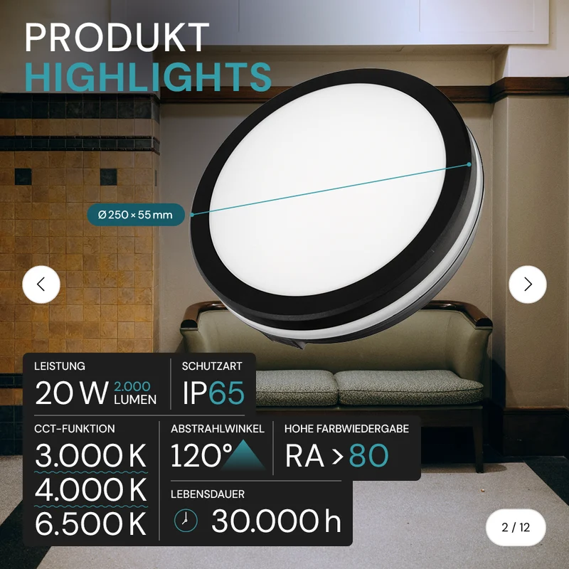 Moderne LED-Deckenlampe, schwarz/weiß, rund, 20 W, 2000 lm, Lichtfarbe einstellbar, Ø20 cm, IP65-wassergeschützt, Schnellverbinder, Innen- und Außenlampe
