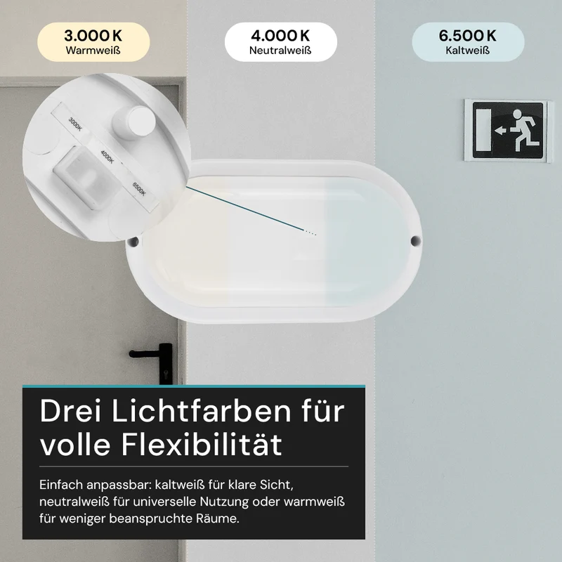 Kellerlampe in Weiß, Ovalleuchte, 12 W, 1080 lm, Lichtfarbe einstellbar (CCT), IP54-wassergeschützt, Kabelverbinder, Wandleuchte Innen und Außen, Feuchtraumleuchte