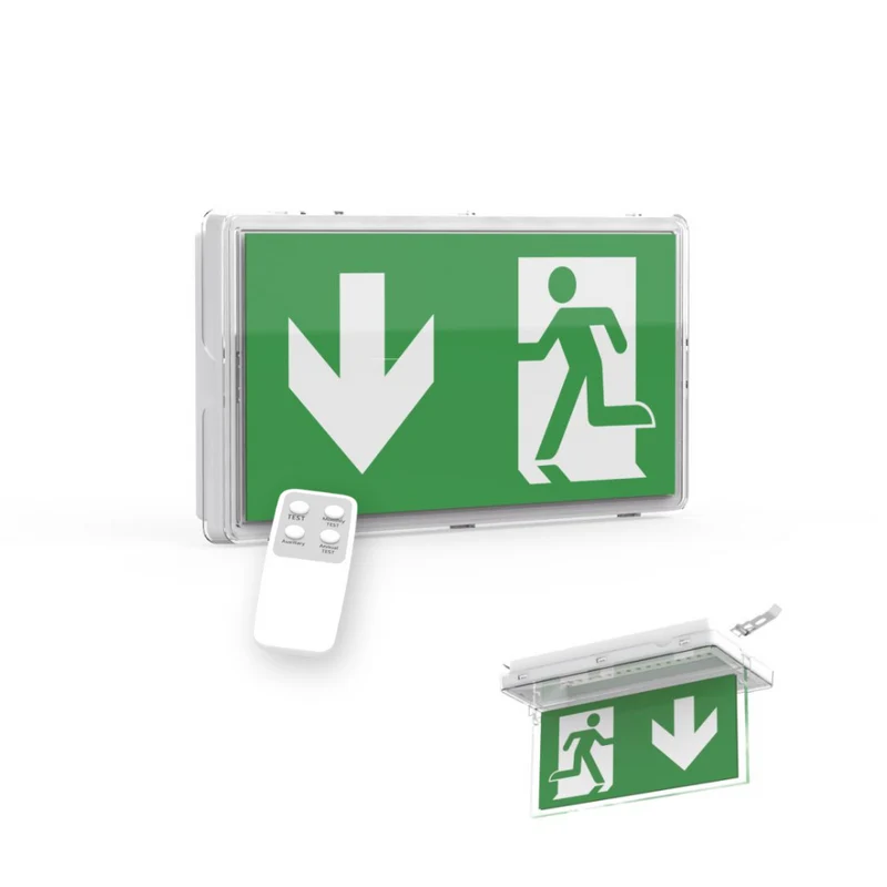 LED-Fluchtwegleuchte mit Fernbedienung, Notstromakku 3h, TEST-Funktion, IP65