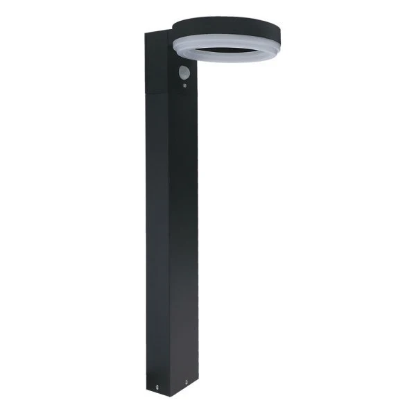 LED-Solarleuchte, Erdspießwegeleuchte 6 W, Bewegungsmelder, rund