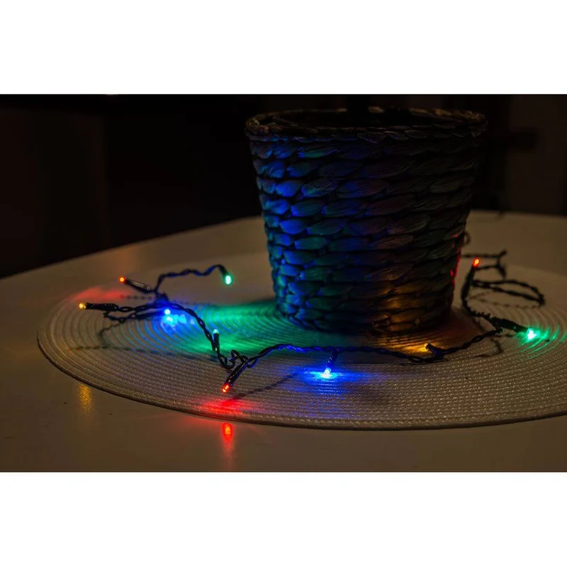 5m Micro LED Lichterkette 50 bunte Dioden