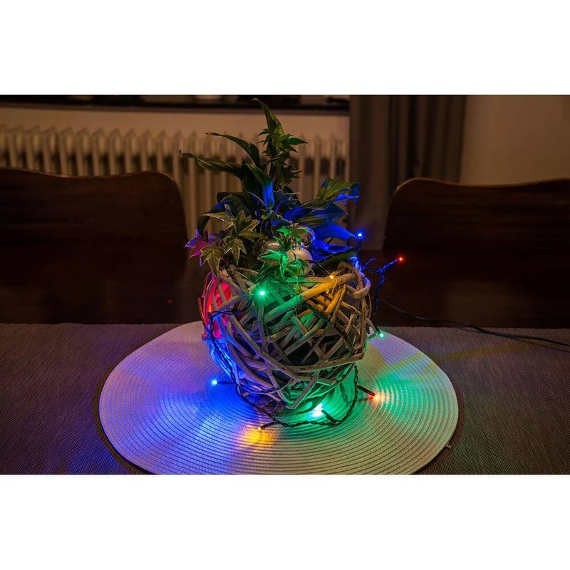 5m Micro LED Lichterkette 50 bunte Dioden