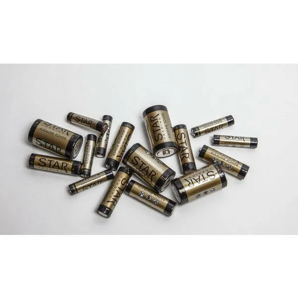6er Pack AAA Batterien